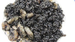 Recepta de cuina de Arròs negre amb sípia